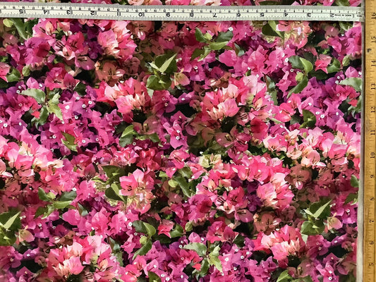 Tela de Algodón Bugambilia